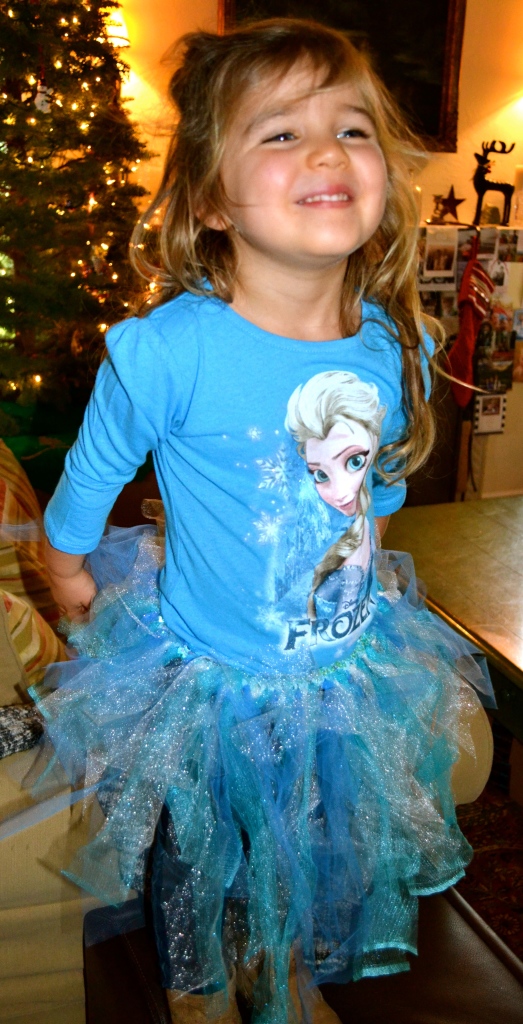 DIY Tutu Princess Elsa