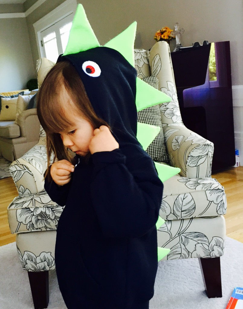 kid's dinosaur hoodie